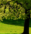 5 Ways To Do More With Less Effort, Featured Article